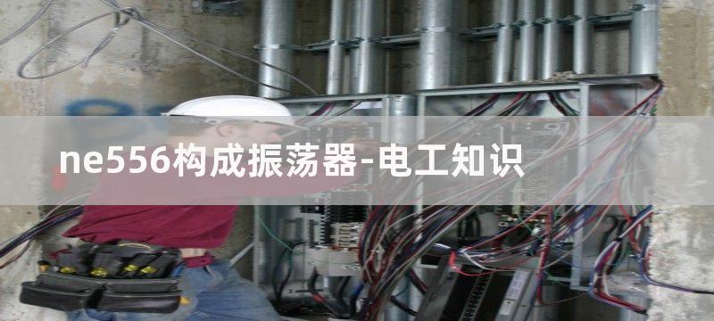 NE556构成的彩色显示器信号源电路