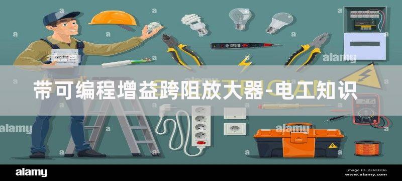 带可编程增益跨阻放大器和同步检波器的双通道色度计