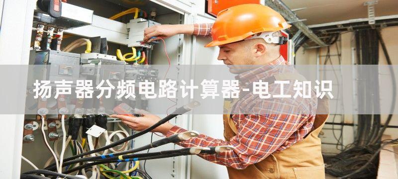 二分频扬声器电路故障处理