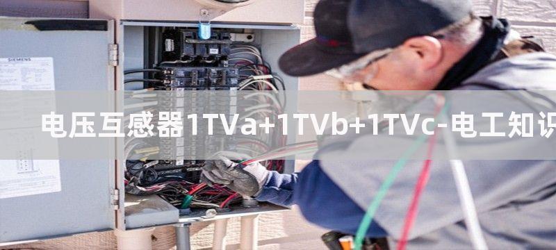 电压互感器1TV和2TV测的都是发电机相电压吗