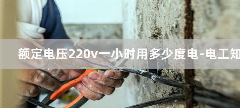 额定电压220V直流电机调速电路图