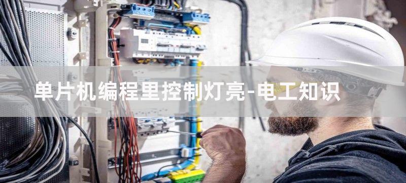 单片机编程里控制LED灯一闪一灭的延时语句工作原理是什么