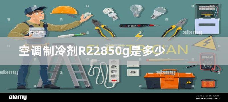 空调制冷剂R22850g是多少