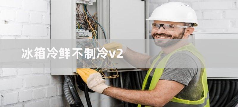 冰箱冷鲜不制冷v2