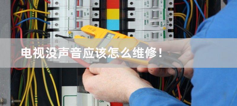 电视没声音应该怎么维修！