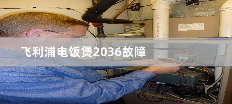 飞利浦电饭煲2036故障