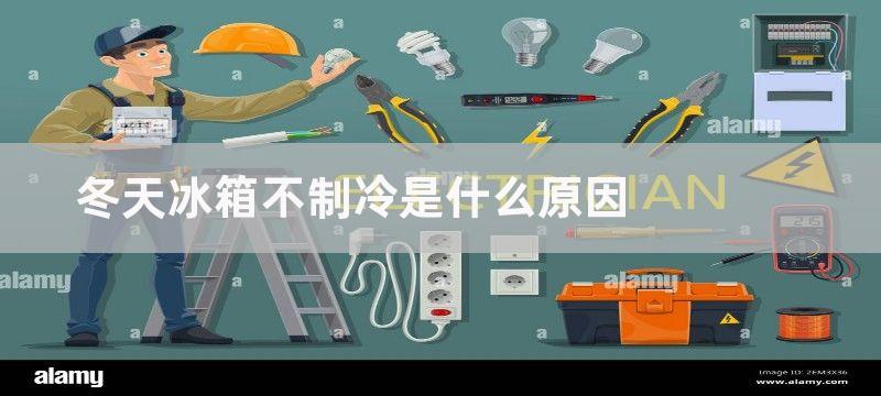 冬天冰箱不制冷是什么原因